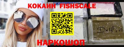 2c-b Кингисепп