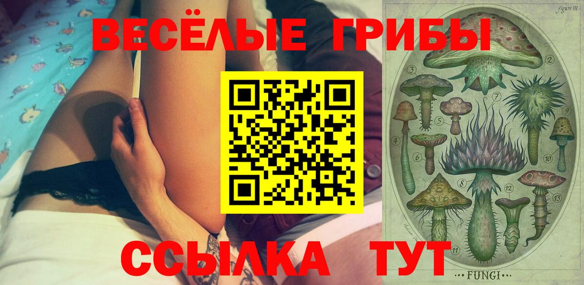 Псилоцибиновые грибы Cubensis  Вход с VPN  Псилоцибиновые грибы Cubensis  Южноуральск 