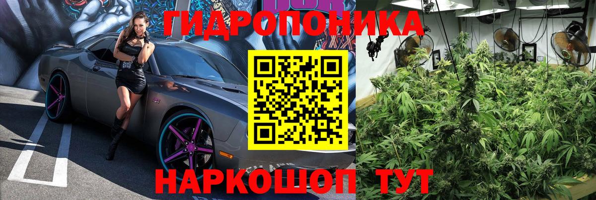 Южноуральск  Конопля марихуана  Шишки марихуана OG Kush  Шишки марихуана планчик  Вход с VPN 